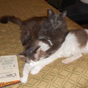 Meet your Posher, Debora